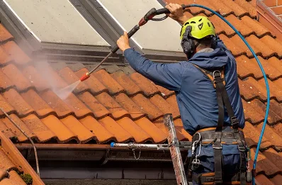 Démoussage et hydrofuge de toiture à Échallon